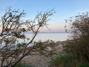A beach with trees and a view of the sea.