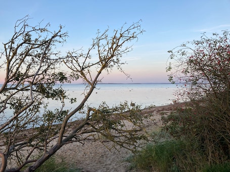 Beach nearby. Apartment 'Brandgans' with Shared Garden, Balcony and Wi-Fi