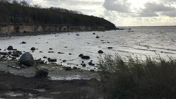 Eine Küstenlandschaft mit felsigem Ufer, Vegetation und einer entfernten Baumgrenze.