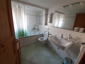 Shower, hair dryer - Holiday Apartment 'Kopf Frei at 1000 Meters' – Ground Floor, Apartment 1 (Feldberg (Schwarzwald))