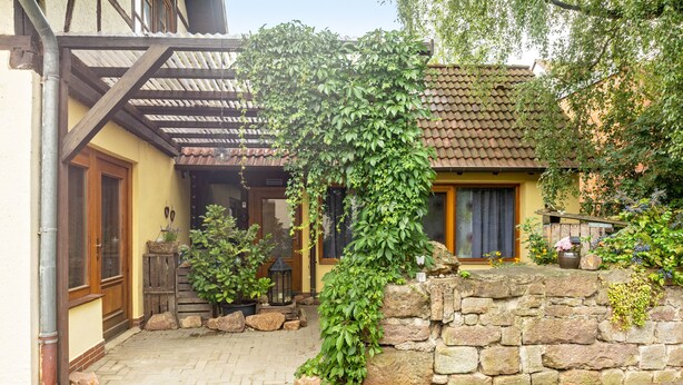 A stone wall with a climbing vine, a wooden door, and a tiled roof.