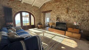 智能电视、壁炉、DVD 播放器、书