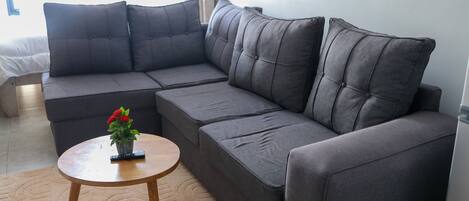 Smart TV, video games, books