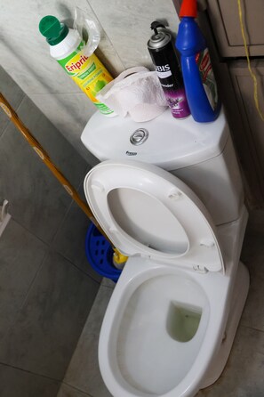 Hårføner, håndklær, såpe og sjampo