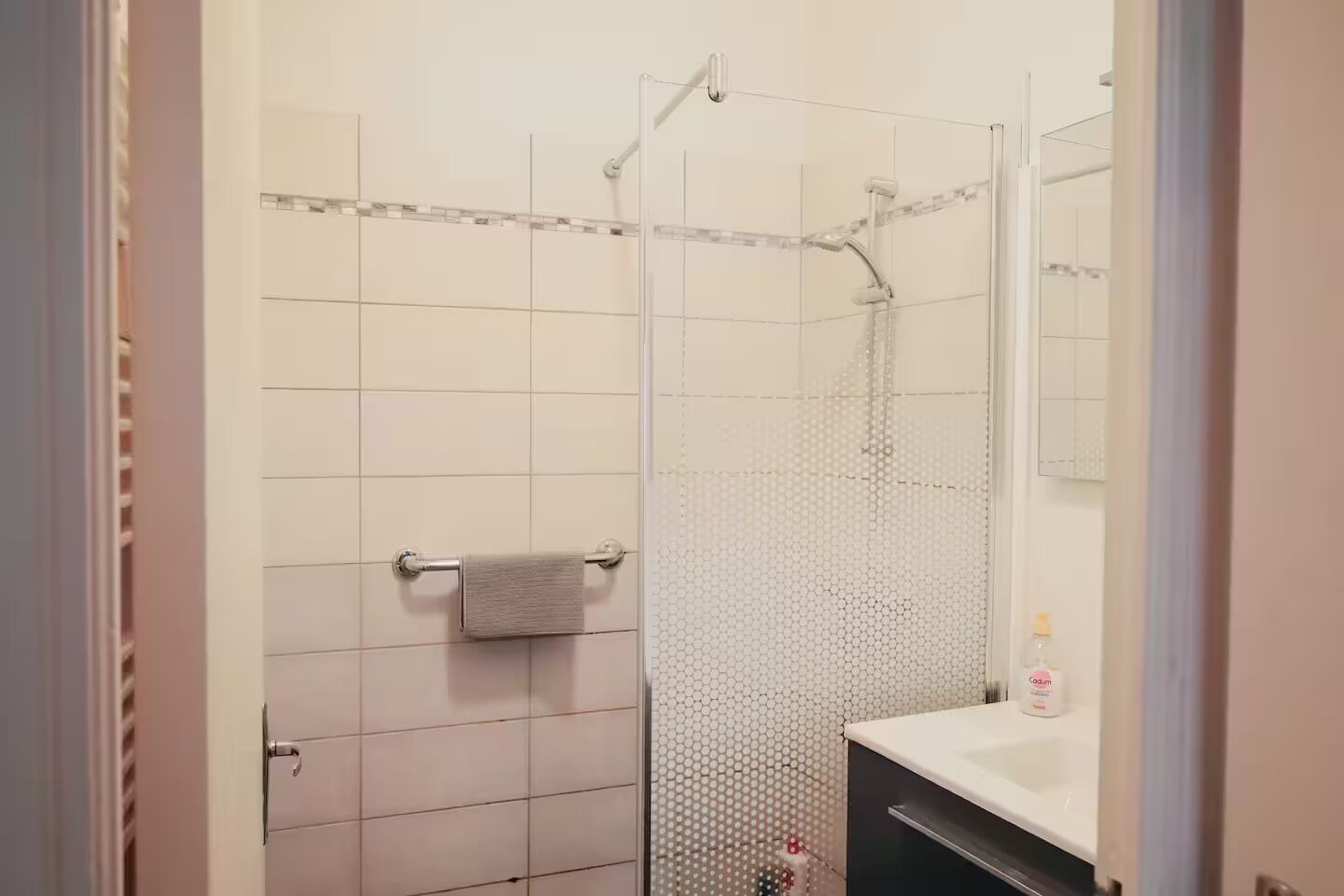Eine Dusche mit Glastür, ein Handtuchhalter und ein Seifenspender am Waschbecken.