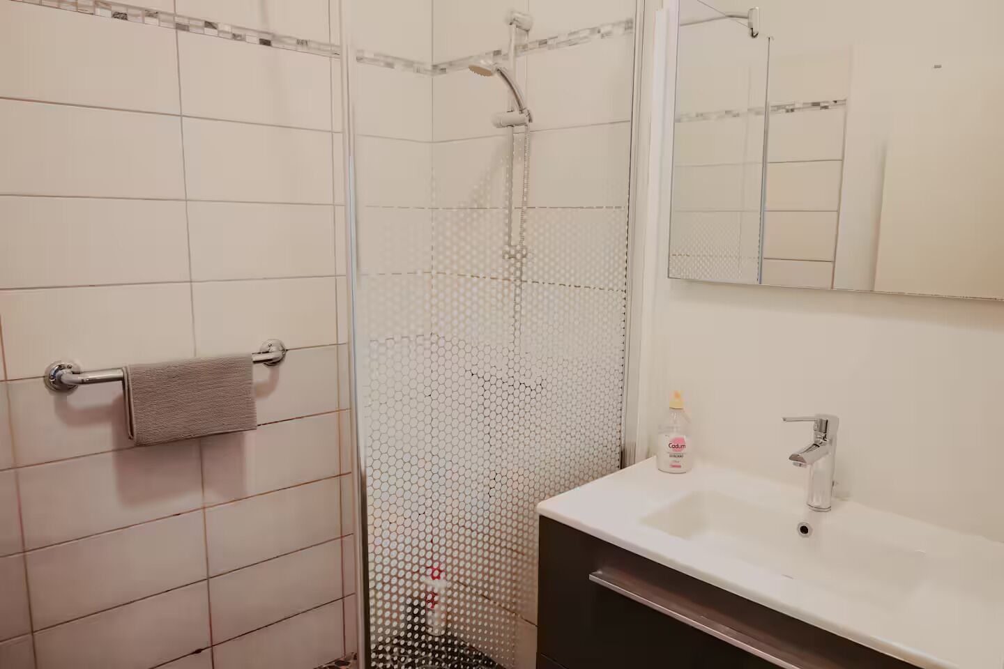 Un baño con ducha, toallero, lavamanos y espejo.