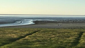 A beach with a sandy shore and a grassy foreground.