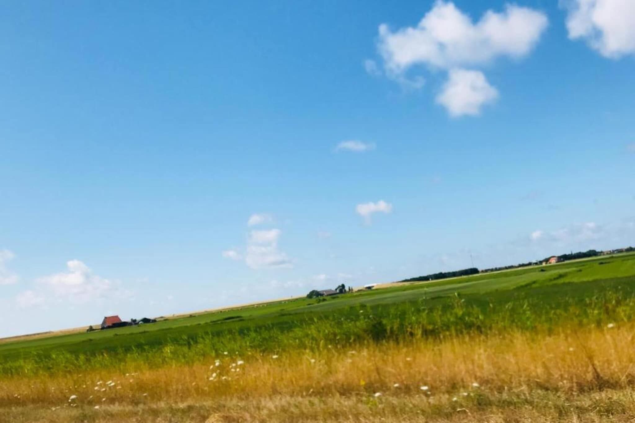 Ländliche Landschaft mit grünen Feldern und blauem Himmel.