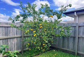 Jardines del alojamiento