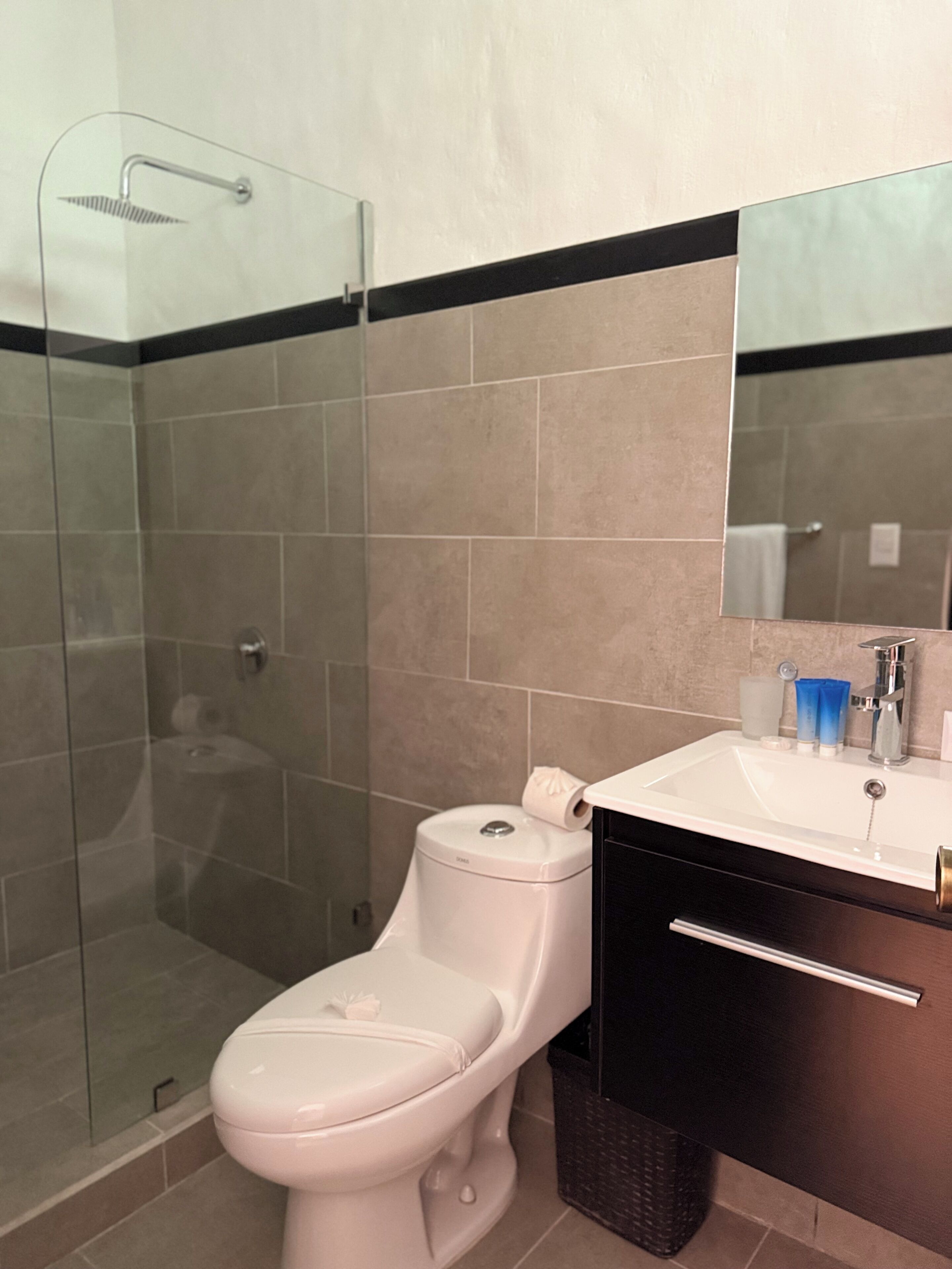 A modern bathroom with a glass-enclosed shower, a white toilet, a sink with a mirror, and a dark wooden cabinet.