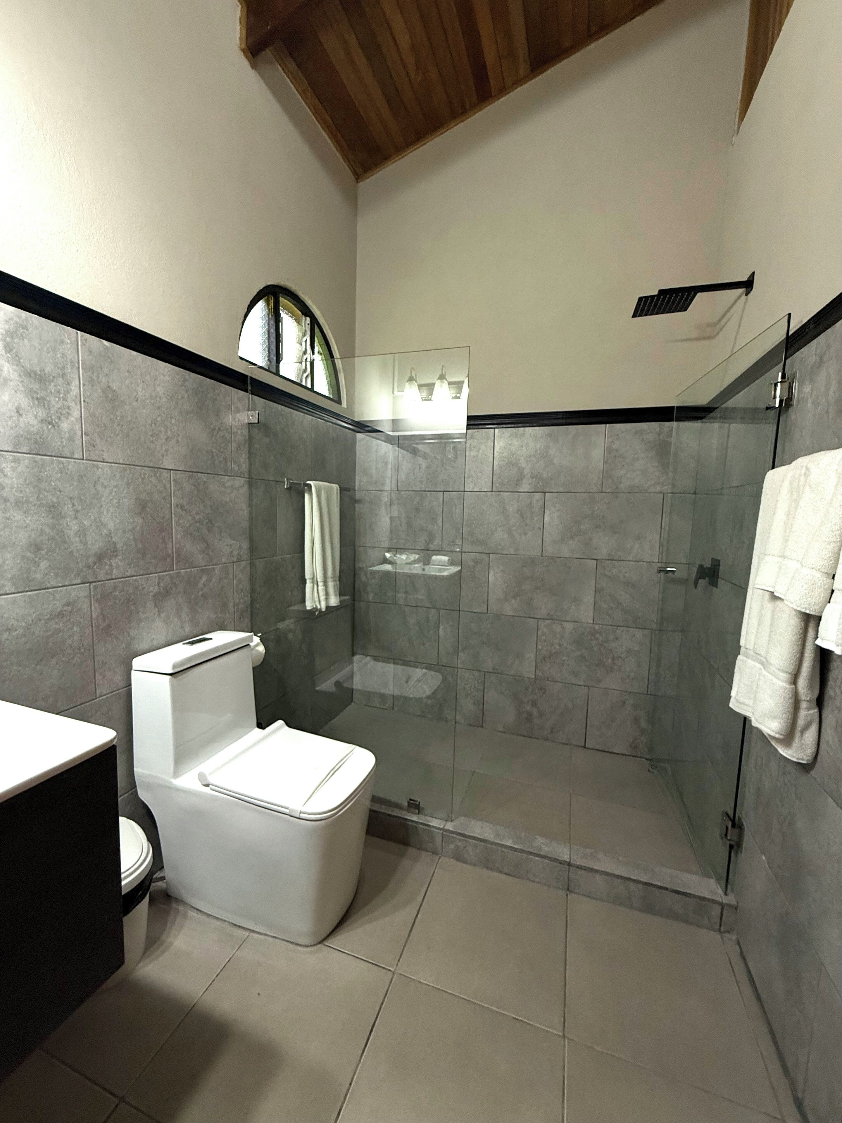A modern bathroom with a glass-enclosed shower, a toilet, and a sink.