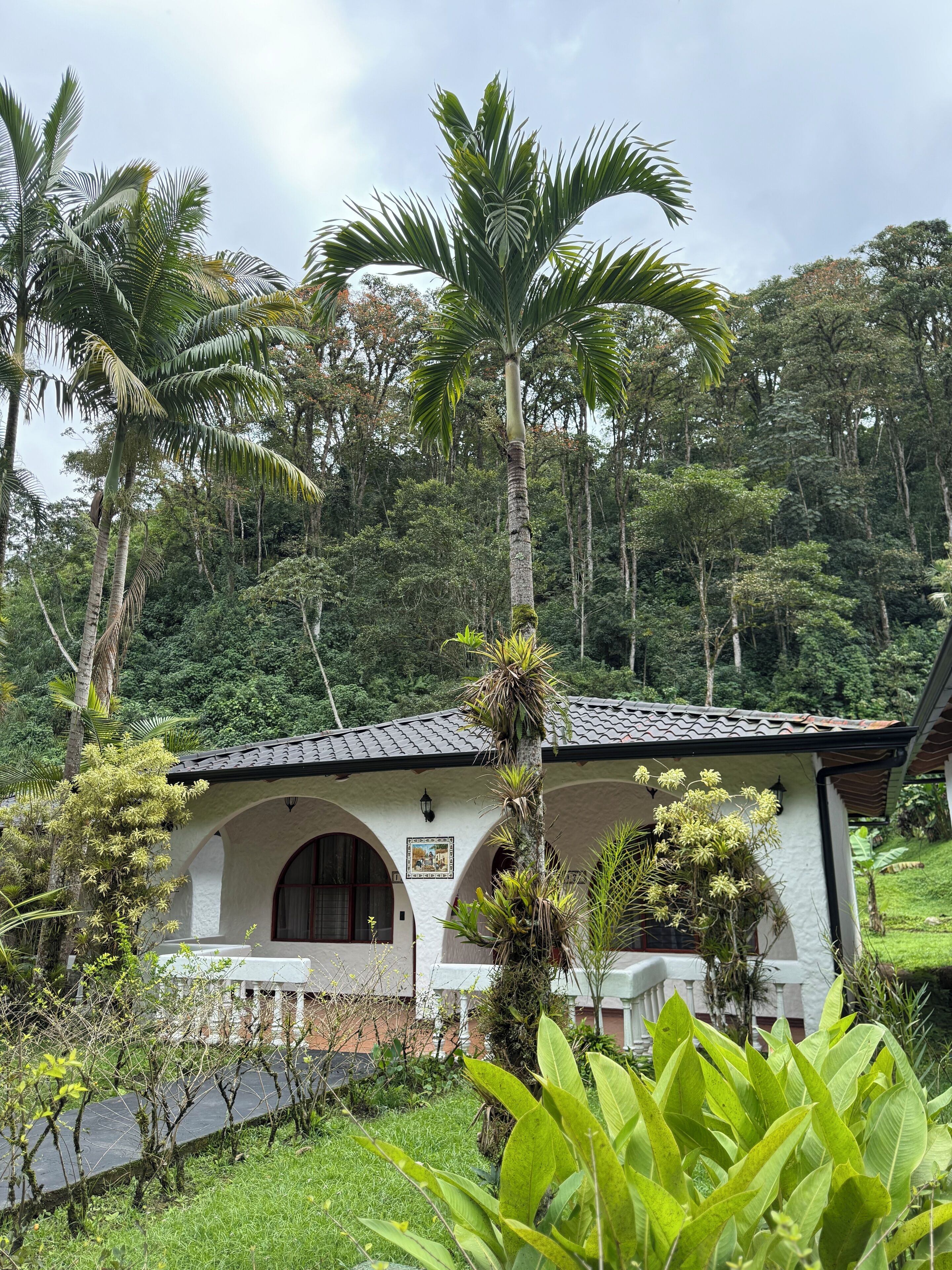 A white building with a tiled roof, surrounded by lush greenery and palm trees.