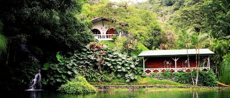 A serene lakeside setting with a waterfall, lush greenery, and a small building with a porch.