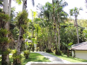 A pathway surrounded by tall palm trees and a building with a tiled roof.