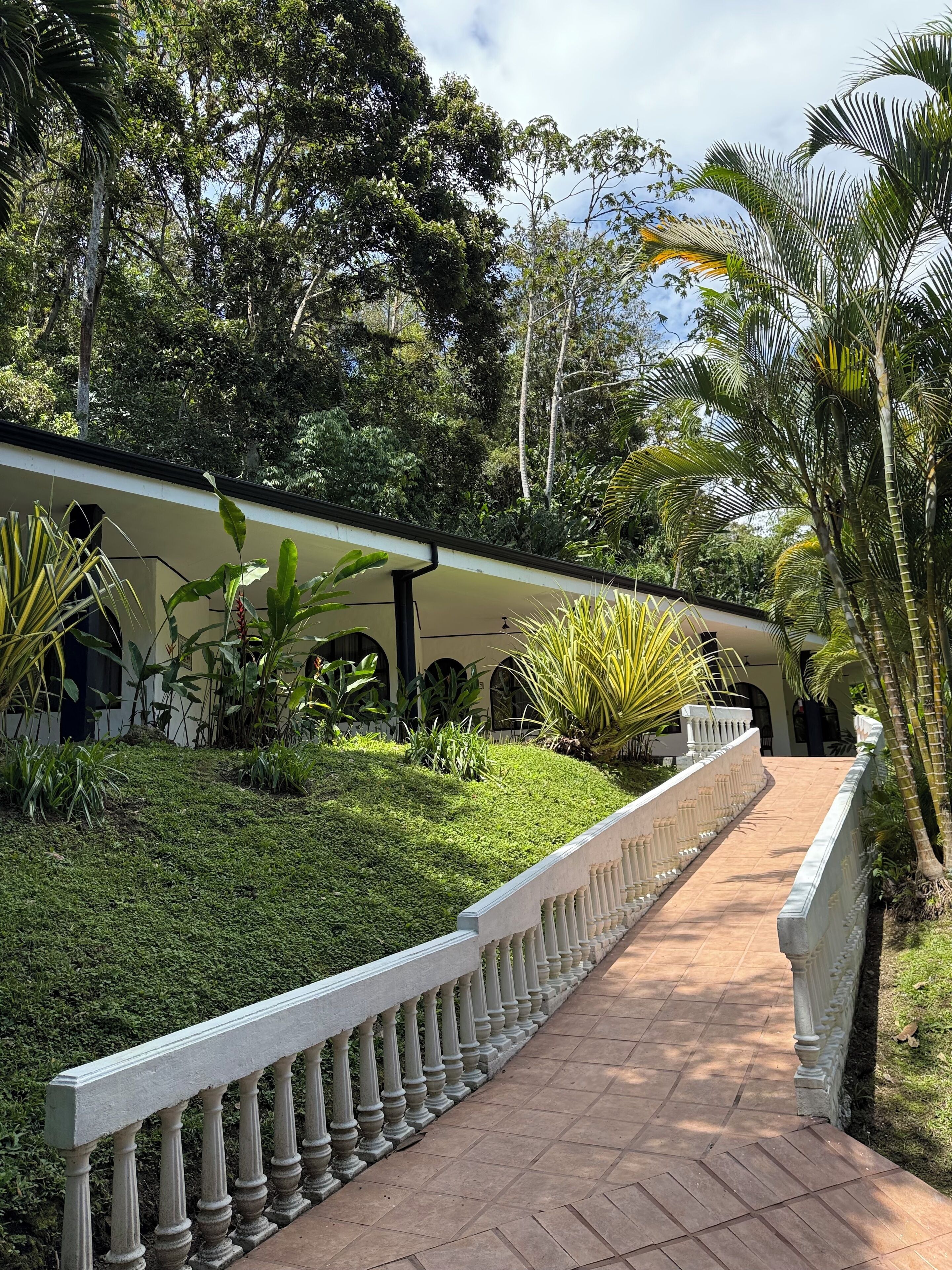 A pathway leading to a building with a white facade and columns, surrounded by lush greenery and palm trees.