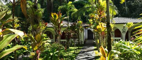 Un sendero conduce a un edificio de techo con tejas, rodeado de abundante follaje y plantas tropicales.