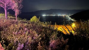 더블룸, 전용 욕실 | 외관