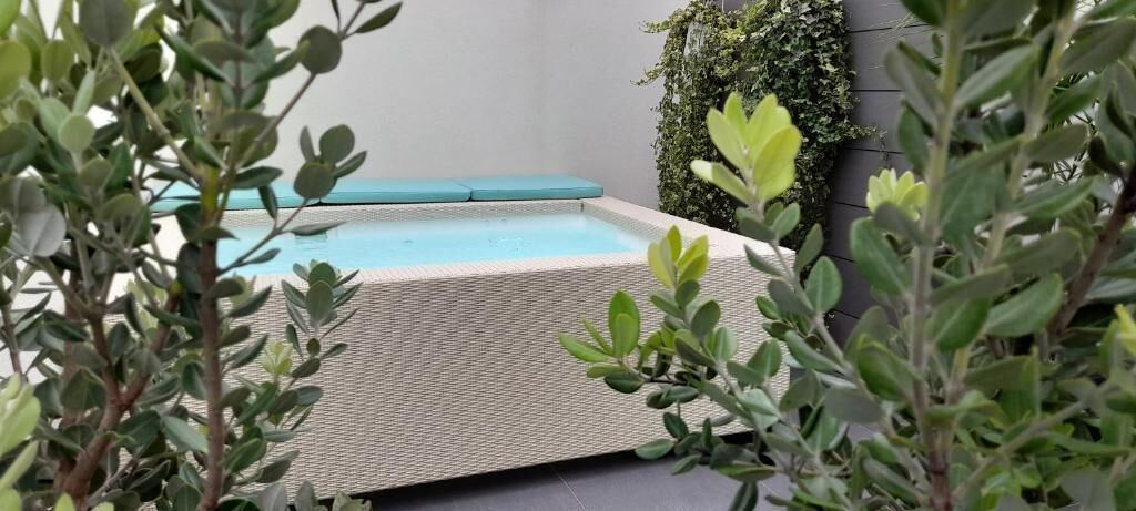 A small pool with a textured deck, surrounded by greenery and a wall with climbing plants.