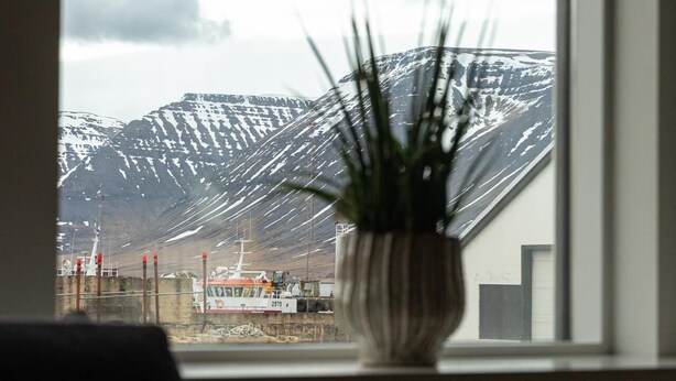 Una ventana con vistas a montañas nevadas, una planta en maceta y un edificio con fachada blanca.
