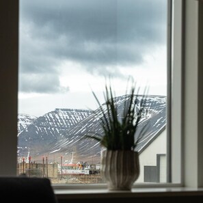 A window with a view of snow-capped mountains, a potted plant, and a building with a white facade. - KEX Thingeyri (Þingeyri)