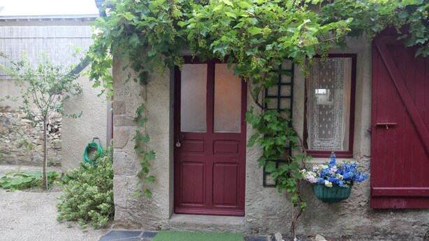 A rustic stone building with a red door, a small garden area with a green mat, and a flower pot on the wall.