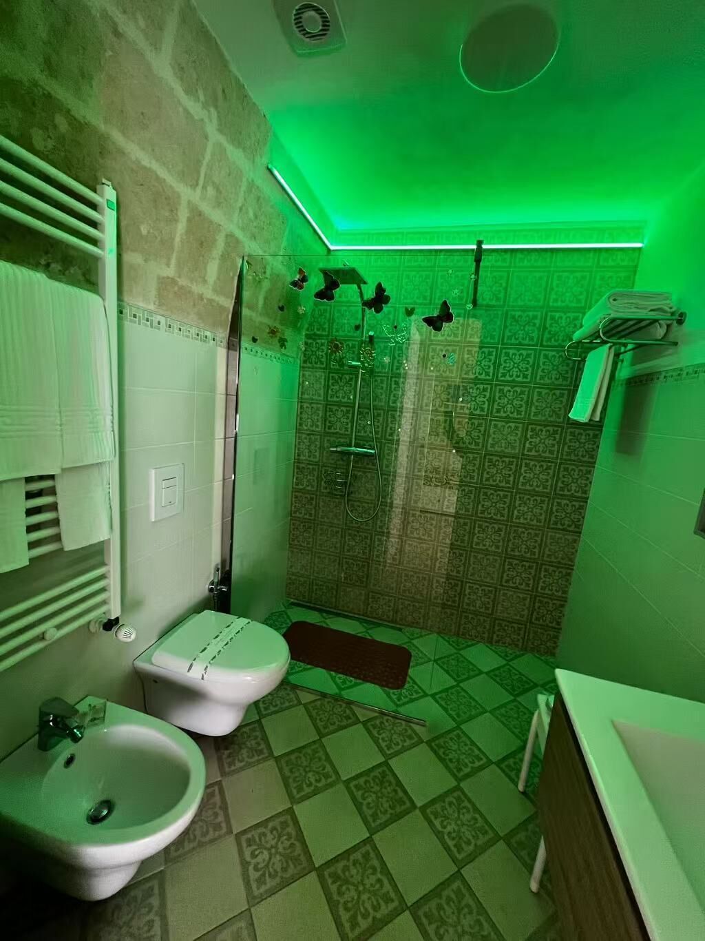 Dusche, Haartrockner, Bidet, Handtücher