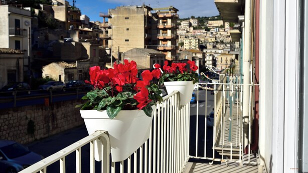A balcony with white railings and red flowers in white pots. - The Little White House (cozy little single house in the center) (Modica)