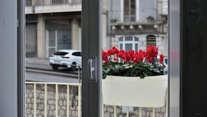 A balcony with a white flower pot containing red flowers, a metal railing, and a view of a street with buildings and parked cars. - The Little White House (cozy little single house in the center) (Modica)