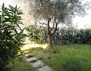 House - Casa Vacanze Cecilia (Manerba del Garda)