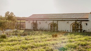 Un edificio blanco con techo de tejas y ventanas arqueadas, rodeado de un área verde con algunas plantas.