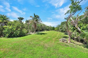 A grassy area with palm trees and dense foliage. - Rabbit road oasis just a short stroll to The Gulf! (Sanibel)