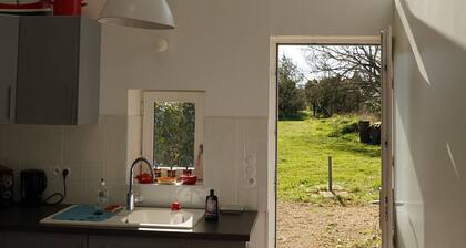 HOUSE ON THE BANKS OF THE LOIRE A STONE'S THROW FROM THE CHATEAUX