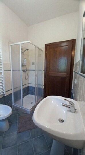 Shower, hair dryer, bidet, towels