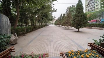 A paved walkway lined with trees and benches, leading to a building entrance.