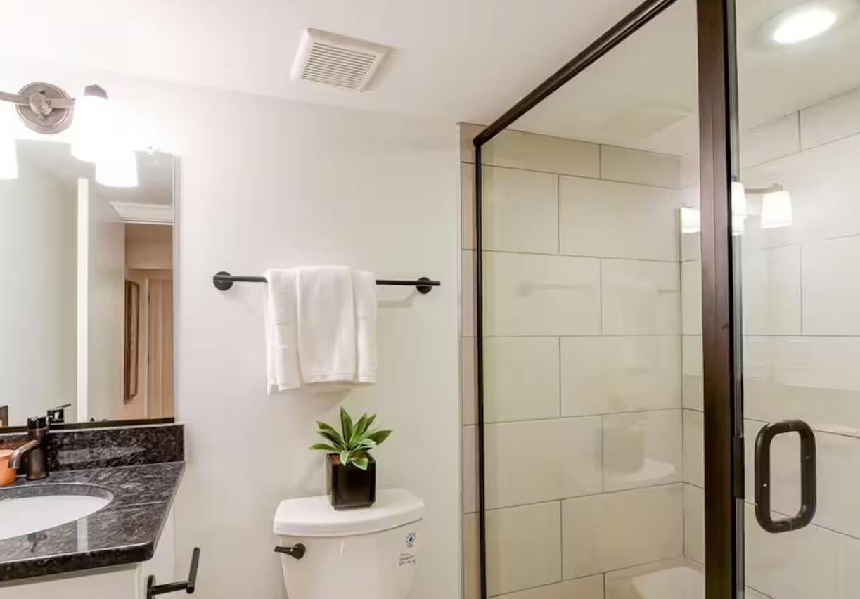Hair dryer, towels, soap, shampoo