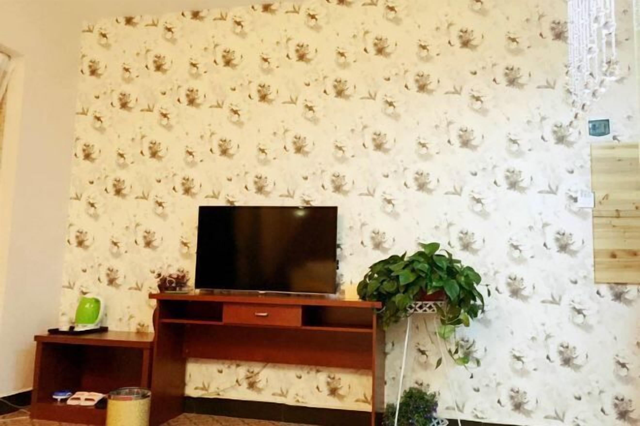 Een woonkamer met een flatscreen televisie op een houten standaard, een tafeltje met een groen voorwerp, en een plant in een pot.