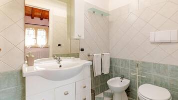 Shower, hair dryer, bidet, towels