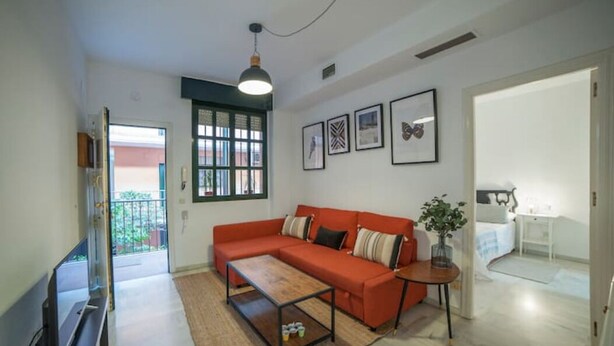 A living room with a sofa, a coffee table, and a TV. There are framed pictures on the wall and a plant on a side table. - Arjona, modern and with excellent location (Sevilla)