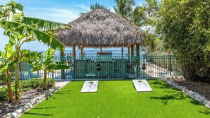 Unclassified image, 3 of 50, button