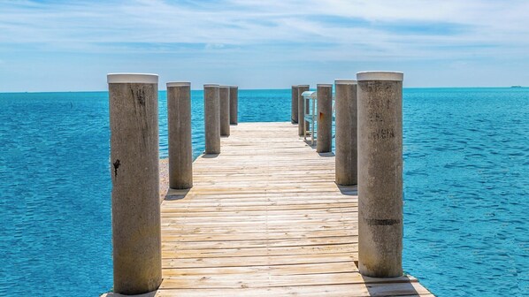 Unclassified image, 1 of 50, button