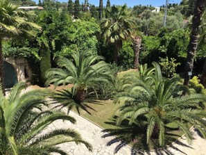 Escape to a serene tropical oasis surrounded by lush palm trees and vibrant foliage along a well-maintained stone pathway.
