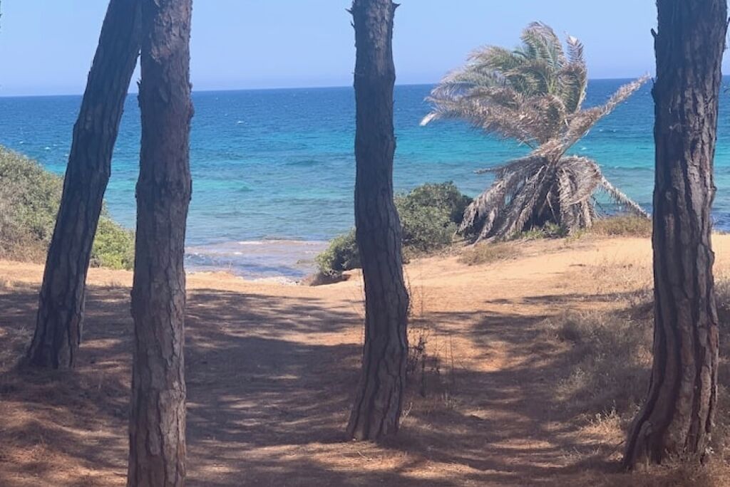 Chaises longues, serviettes de plage