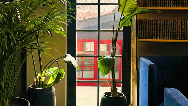 Ein Zimmer mit einem großen Fenster, einem Bücherregal und zwei Zimmerpflanzen.