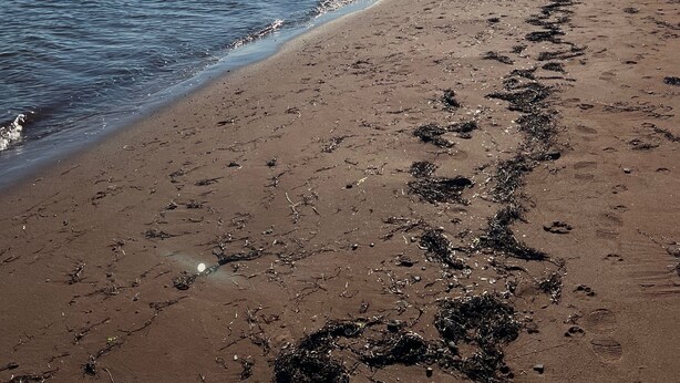 A beach with clear skies and sunlight reflecting on the water.