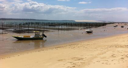 Cosy T2 apartment in Gujan-Mestras / Bassin d'Arcachon