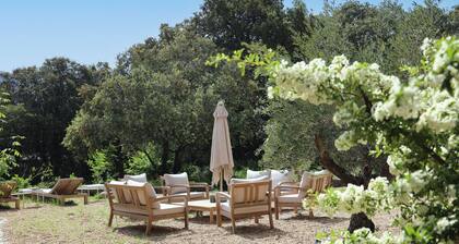 Propriété de charme avec tennis /piscine en Provence