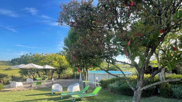 A grassy outdoor area with several green lounge chairs and white chairs under umbrellas, a tree with red leaves, and a building in the background. - Trasimeno Holiday Home - Apartment Il Girasole (Castiglione del Lago)