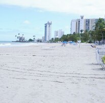 Una playa con orilla arenosa, palmeras y edificios altos al fondo.