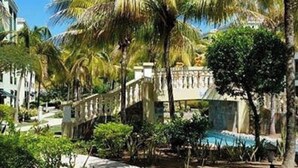 Een resort met palmbomen, een zwembad en een verzorgde tuin met rode bloemen.