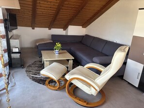 電視、壁爐、DVD 播放機、書籍